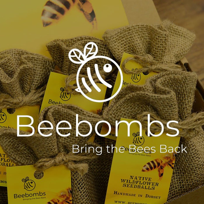 beebombs postal packaging bee friendly packaging wildflower seed mail order  