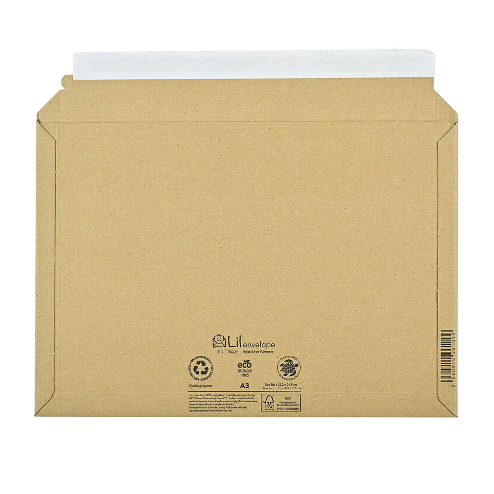 Cardboard Envelopes 352 x 249 (Lil A3)