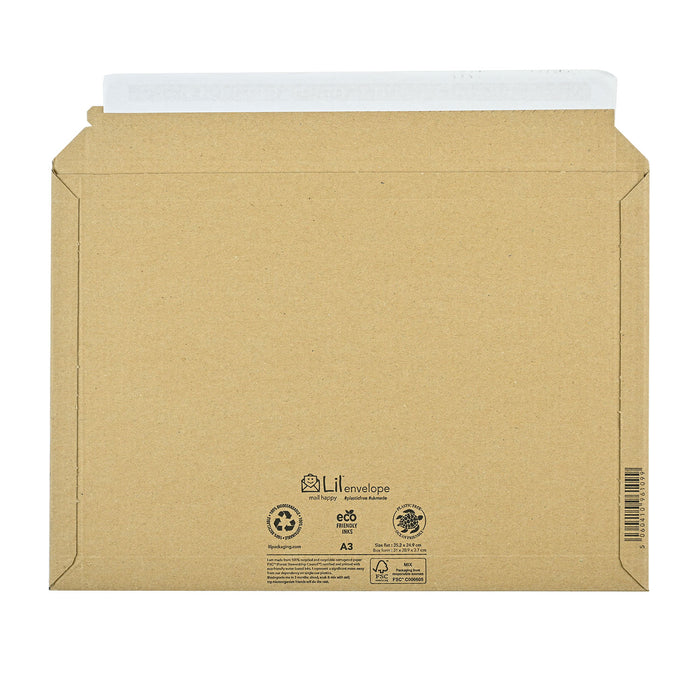 Cardboard Envelopes 352 x 249 (Lil A3)